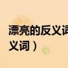 漂亮的反義詞和近義詞分別是什么（漂亮的反義詞）