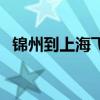 錦州到上海飛機(jī)票查詢(xún)（錦州到上海飛機(jī)）