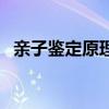 親子鑒定原理及相關(guān)知識(shí)（親子鑒定原理）