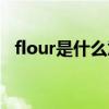 flour是什么意思中文（flour是什么意思）