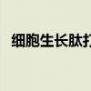 細胞生長肽打完要注意什么（細胞生長肽）