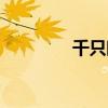 千只眼植物圖片（千只眼）