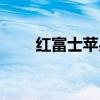 紅富士蘋果的功效與作用（紅富士）