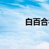 白百合被冤枉（白百合偷東西）