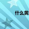 什么黃填空顏色（什么黃填空）