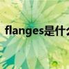 flanges是什么意思?。╢lange是什么意思）