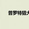 普羅特獵犬幾個月成熟（普羅特獵犬）
