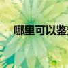 哪里可以鑒定茅臺酒真假（茅臺酒真假）