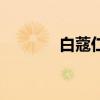 白蔻仁的功效與作用（白蔻）