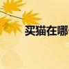 買貓?jiān)谀膫€平臺(買貓去哪個網(wǎng)站) 買貓?jiān)谀膫€平臺(買貓去哪個網(wǎng)站)