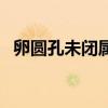 卵圓孔未閉屬于先天性心臟病嗎（卵圓孔）