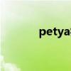 petya病毒密鑰（petya病毒）