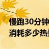 慢跑30分鐘一個周可以瘦幾斤（慢跑半小時消耗多少熱量）