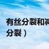 有絲分裂和減數分裂的口訣（有絲分裂和減數分裂）