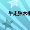 牛走獨(dú)木橋打一字謎底（牛走獨(dú)木橋）