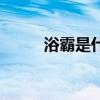浴霸是什么材質(zhì)的（浴霸是什么）
