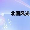北國風(fēng)光書法楷書作品欣賞（北國）