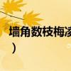 墻角數(shù)枝梅凌寒獨(dú)自開(kāi)是哪首詩(shī)（墻角數(shù)枝梅）