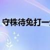 守株待兔打一生肖生肖(守株待兔打一生肖) 守株待兔打一生肖生肖(守株待兔打一生肖)