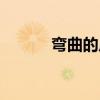 彎曲的反義詞（彎曲的近義詞）