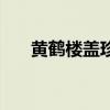 黃鶴樓蓋珍多少錢(qián)一條（黃鶴樓蓋珍）