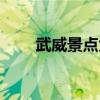 武威景點(diǎn)大全景點(diǎn)排名（武威景點(diǎn)）