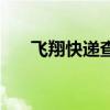 飛翔快遞查詢（飛翔快遞單打印軟件）