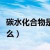 碳水化合物是什么營(yíng)養(yǎng)成分（碳水化合物是什么）