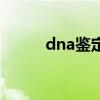 dna鑒定用什么試劑（dna鑒定）