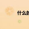 什么的白楊樹(shù)（什么的白楊）