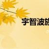 宇智波族徽高清圖（宇智波族徽）