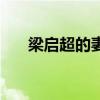 梁?jiǎn)⒊钠拮蛹白优簡(jiǎn)⒊钠拮樱? title=