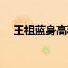 王祖藍身高和李亞男身高（王祖藍身高）