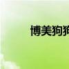博美狗狗取名帶好運（博美狗狗）