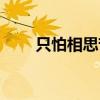 只怕相思苦在線閱讀（只怕相思苦）
