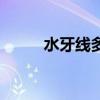 水牙線多久用一次最好（水牙線）