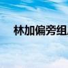 林加偏旁組成新字（才加偏旁組成新字）