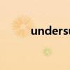 undersung 翻譯（undersung）