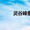 靈谷峰景區(qū)有哪些景點(diǎn)（靈谷峰）