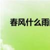 春風什么雨的成語有哪些（春風什么雨）