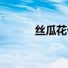 絲瓜花什么時(shí)候開花（絲瓜花）