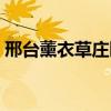 邢臺薰衣草莊園游玩時間（邢臺薰衣草莊園）