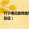 竹子梅花蜜蜂路燈寫(xiě)一段話100字(竹子梅花蜜蜂路燈寫(xiě)一段話) 竹子梅花蜜蜂路燈寫(xiě)一段話100字(竹子梅花蜜蜂路燈寫(xiě)一段話)