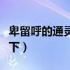 卑留呼的通靈獸叫什么(卑留呼的通靈獸女手下) 卑留呼的通靈獸叫什么(卑留呼的通靈獸女手下)