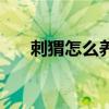刺猬怎么養(yǎng)才能認(rèn)主人（刺猬怎么養(yǎng)）