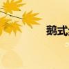 鵝式步伐教學(xué)（鵝式步伐）