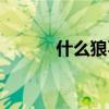 什么狼不吃羊（什么牛不吃草）
