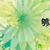 鴝怎么讀（郇怎么讀）