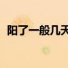 陽了一般幾天轉(zhuǎn)陰（我34天陰之后轉(zhuǎn)陽了）