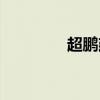 超鵬建筑有限公司（超鵬）